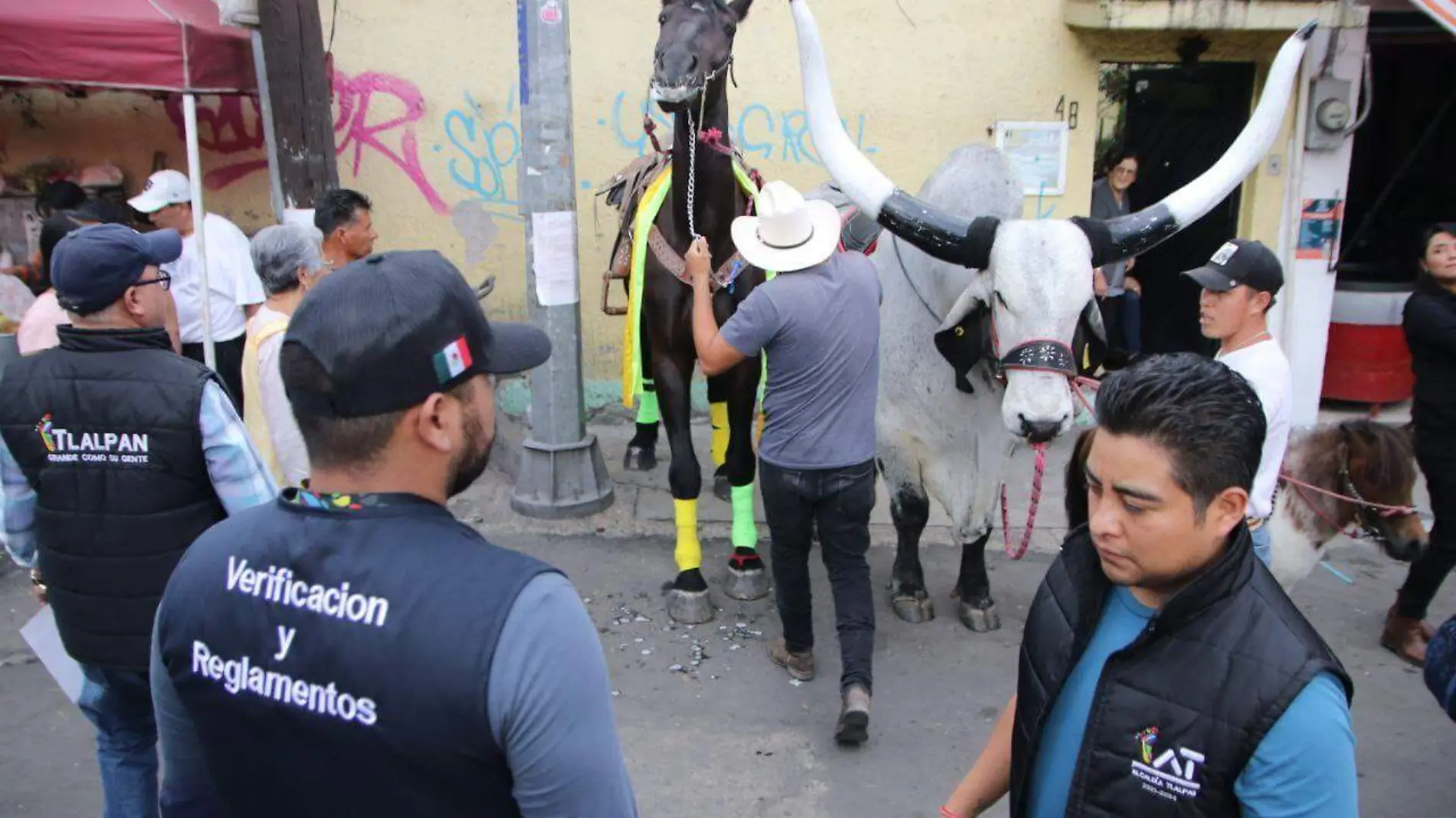 Trabajadores de Tlalpan 